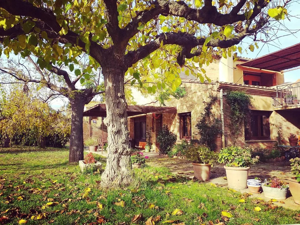 Apartment Can Brancos Torroella De Montgri Spain