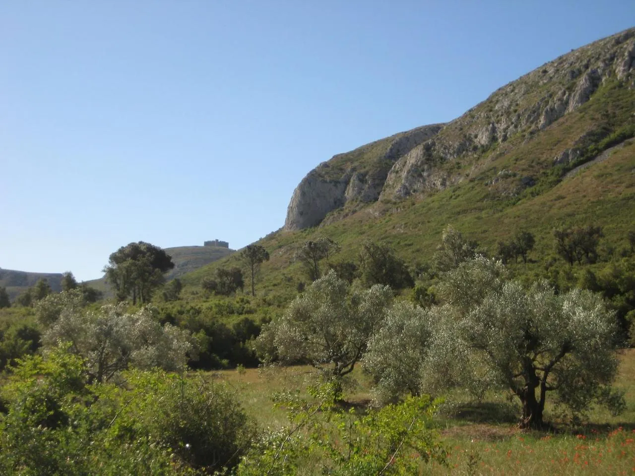 Can Brancos Torroella De Montgri Apartment