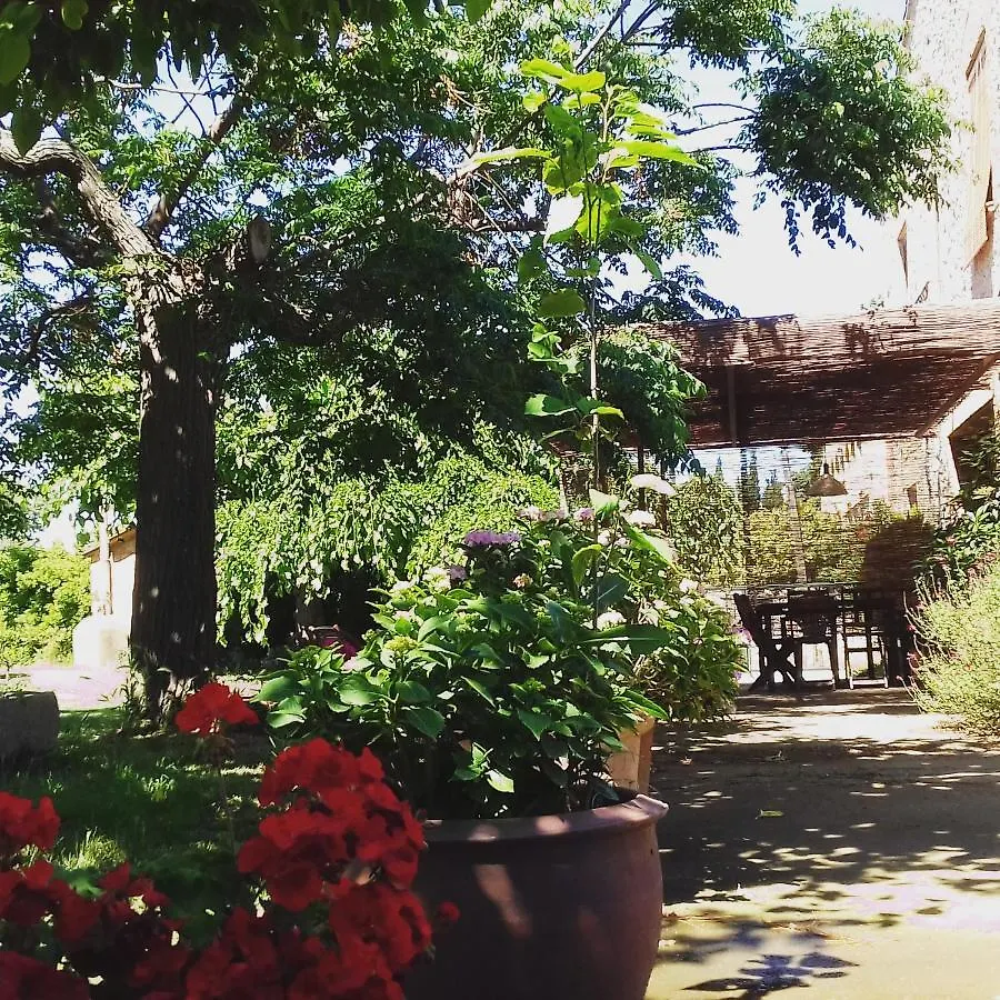 Apartment Can Brancos Torroella De Montgri